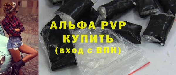 индика Переславль-Залесский