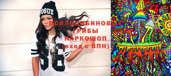 индика Переславль-Залесский