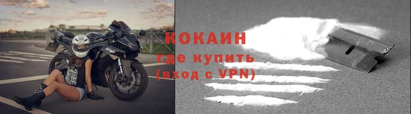 дурь Пестово