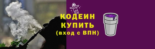 индика Переславль-Залесский