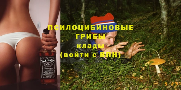 дурь Пестово