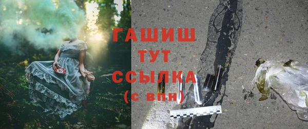 индика Переславль-Залесский