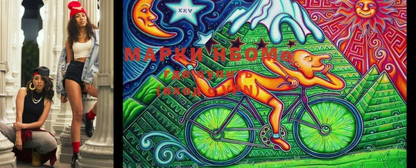 дурь Пестово