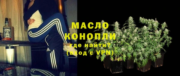 индика Переславль-Залесский