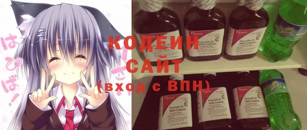 дурь Пестово