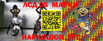 крисы Гатчина
