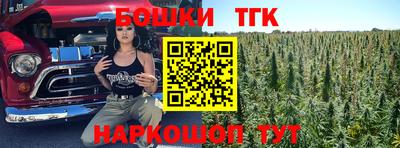 крисы Гатчина