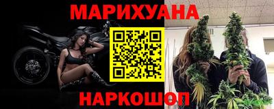 крисы Гатчина