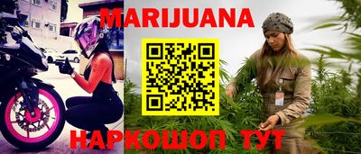 крисы Гатчина