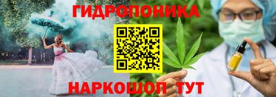 крисы Гатчина