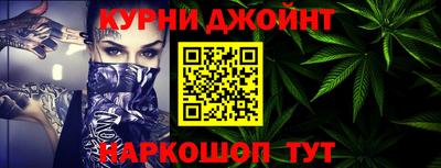 крисы Гатчина