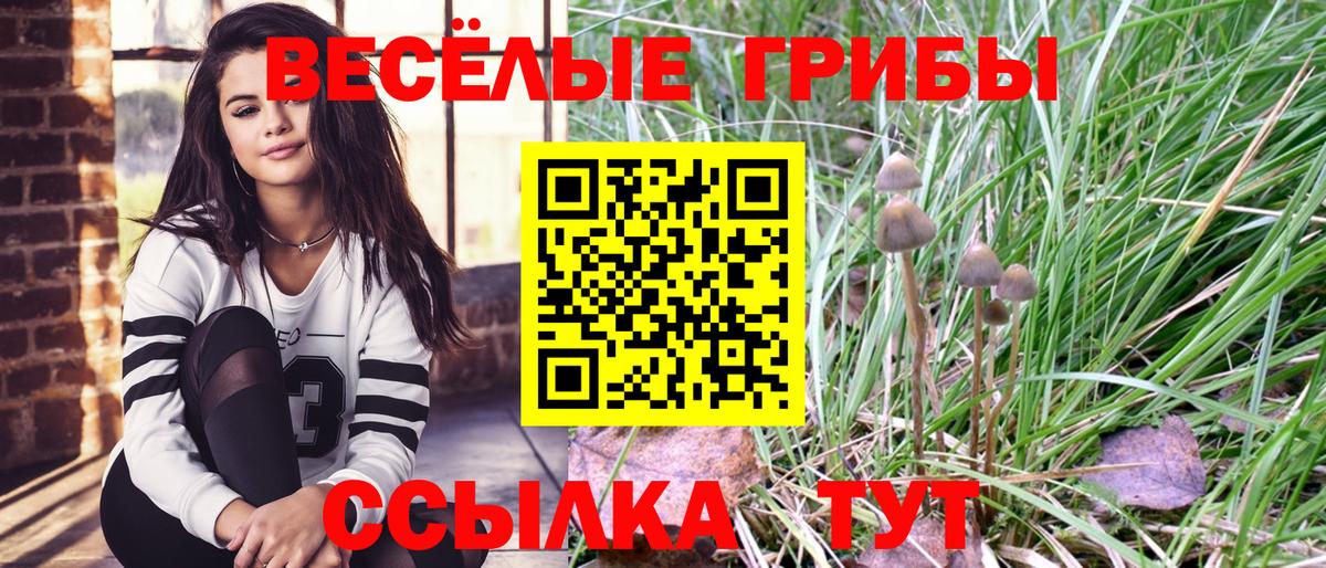 Галлюциногенные грибы MAGIC MUSHROOMS Апатиты