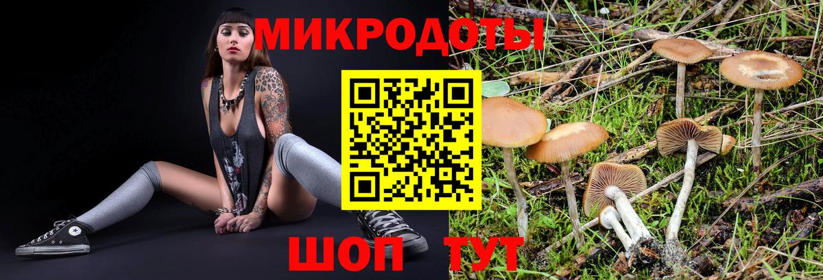 Псилоцибиновые грибы мухоморы  Вход с VPN  Апатиты  купить наркотики цена  Псилоцибиновые грибы MAGIC MUSHROOMS 