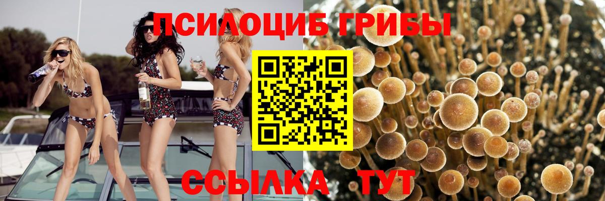 Галлюциногенные грибы мухоморы Апатиты