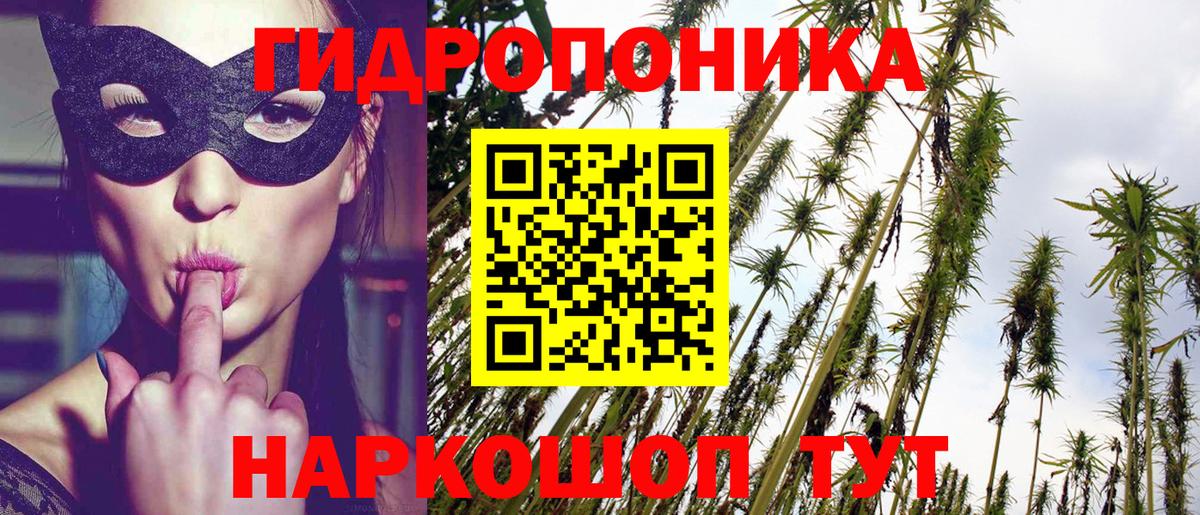 Шишки марихуана сатива  Апатиты  Каннабис Bruce Banner 