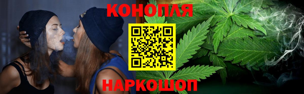 Каннабис сатива Апатиты